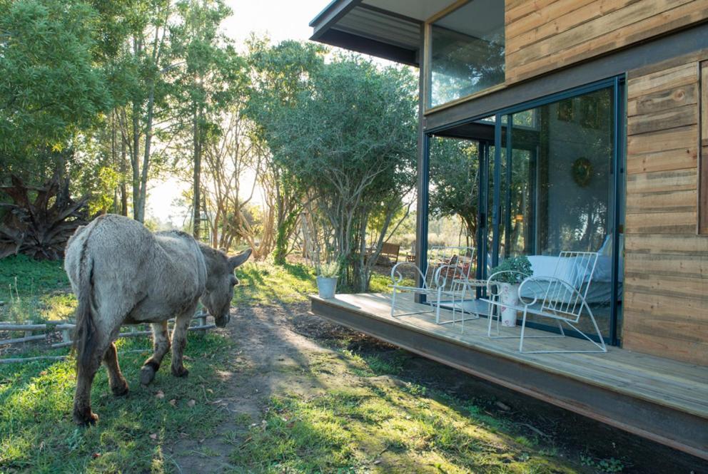 Eco Lodge Villa Villekula The Crags Exterior photo